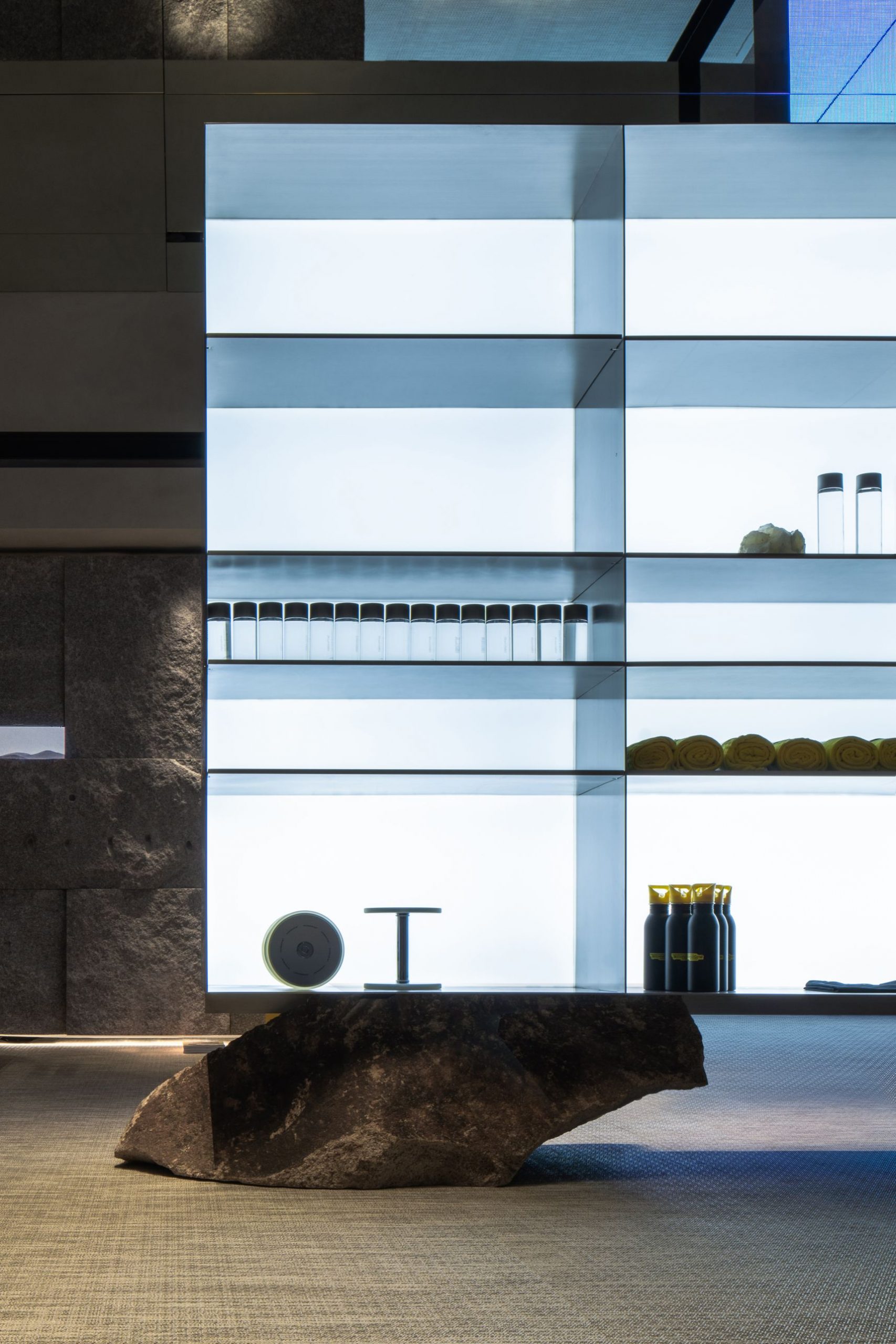 TECHNOGYM II